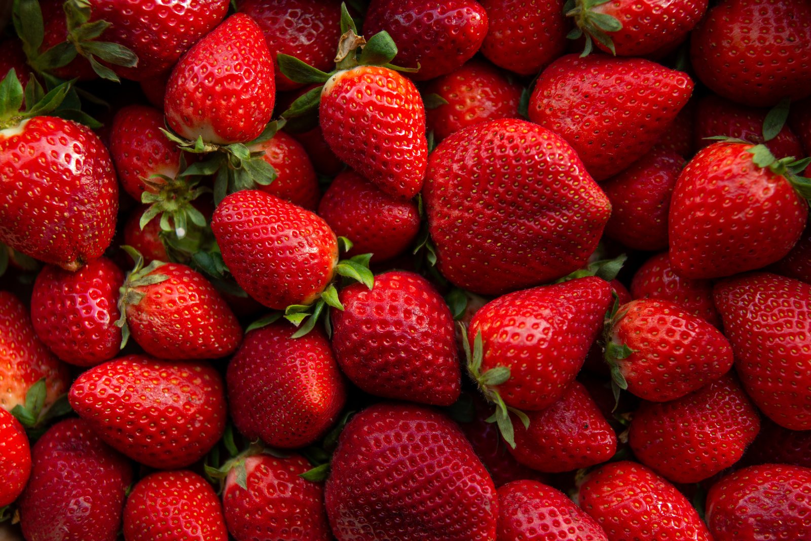 Erdbeeren haben mehr Nährstoffe, wenn der CO2-Gehalt der Luft höher ist. Bild: Shutterstock
