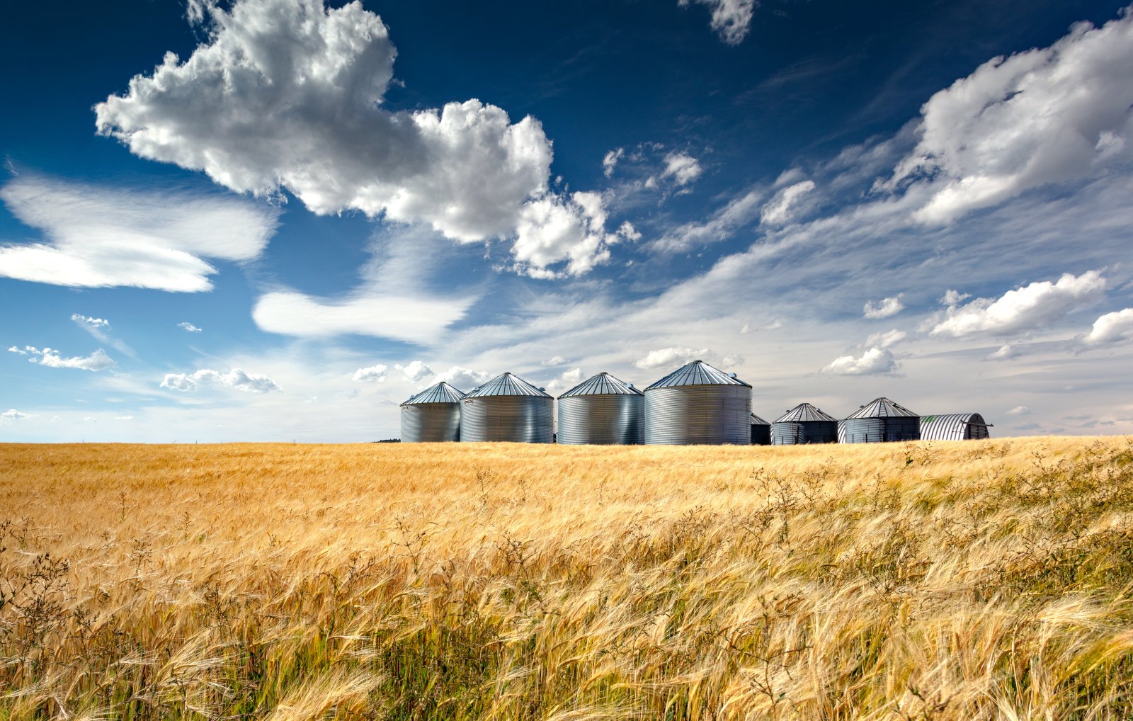 Quelle: Shutterstock