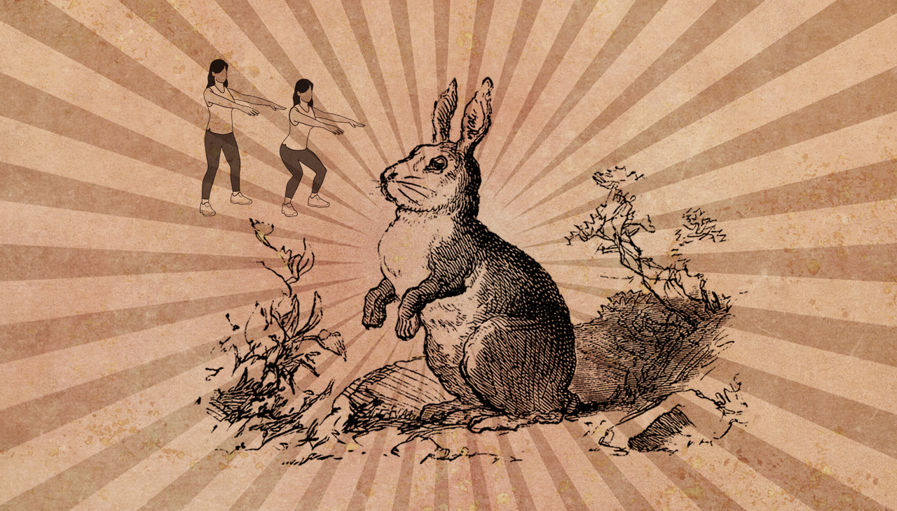 Von Kniebeugen, bei denen man mehr als ein Karnickel abgeht. (Montage: Dominique Feusi)