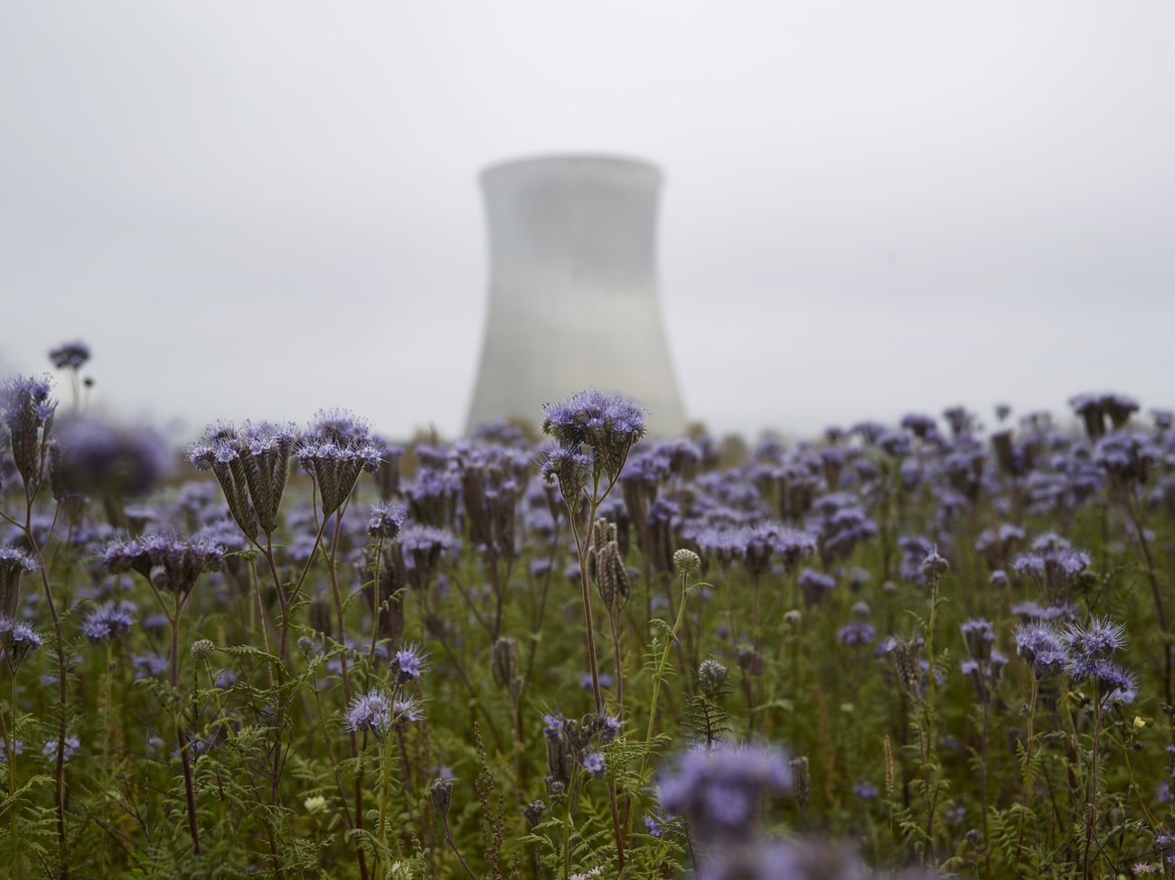 Woher kommt der Strom, wenn grosse Atomkraftwerke wie das in Leibstadt vom Netz gehen müssen? Bild: Keystone