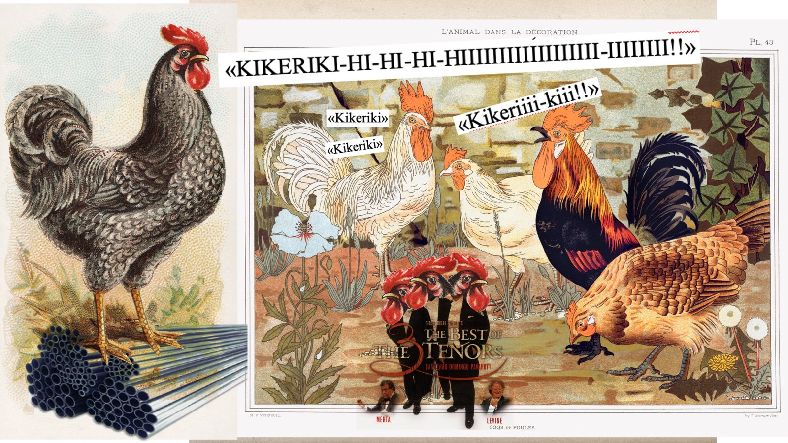 Plácido Domingo, Luciano Pavarotti und José Carreras, jeweils gefangen im Körper eines Hahns. Collage: Dominique Feusi