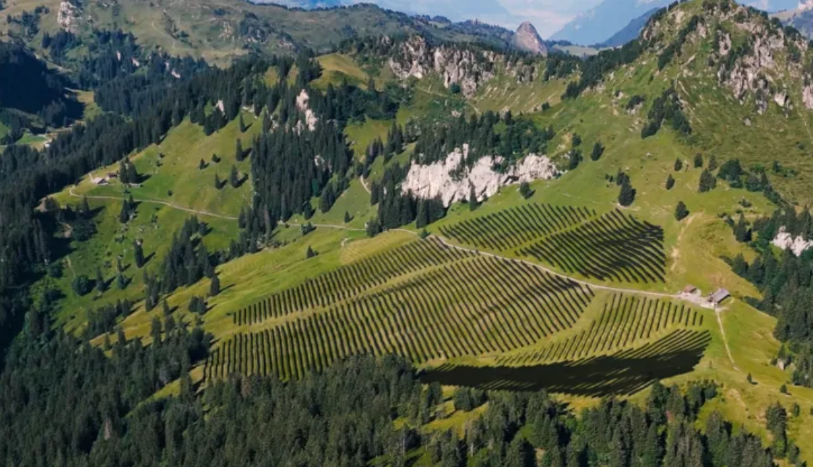 Aus den Plänen wird nichts: Visualisierung des Projekts «Alpin Solar Ybrig» durch das Elektrizitätswerk Schwyz. 