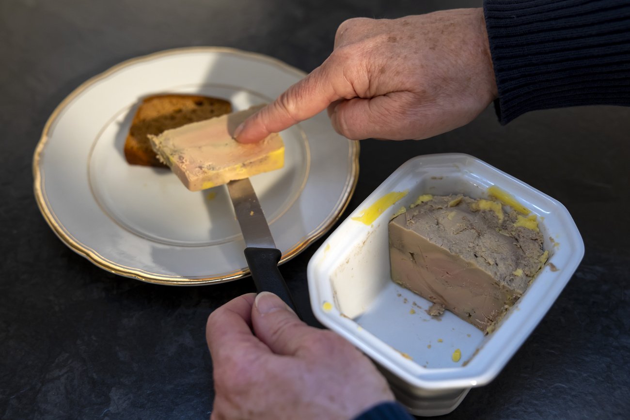 In der letzten Woche der Frühjahrsession diskutierte der Nationalrat über die Volksinitiative für ein Importverbot von Stopfleber (Foie gras). Nach einer stundenlangen (!) Debatte lehnte er die Initiative ab. Bild: Keystone