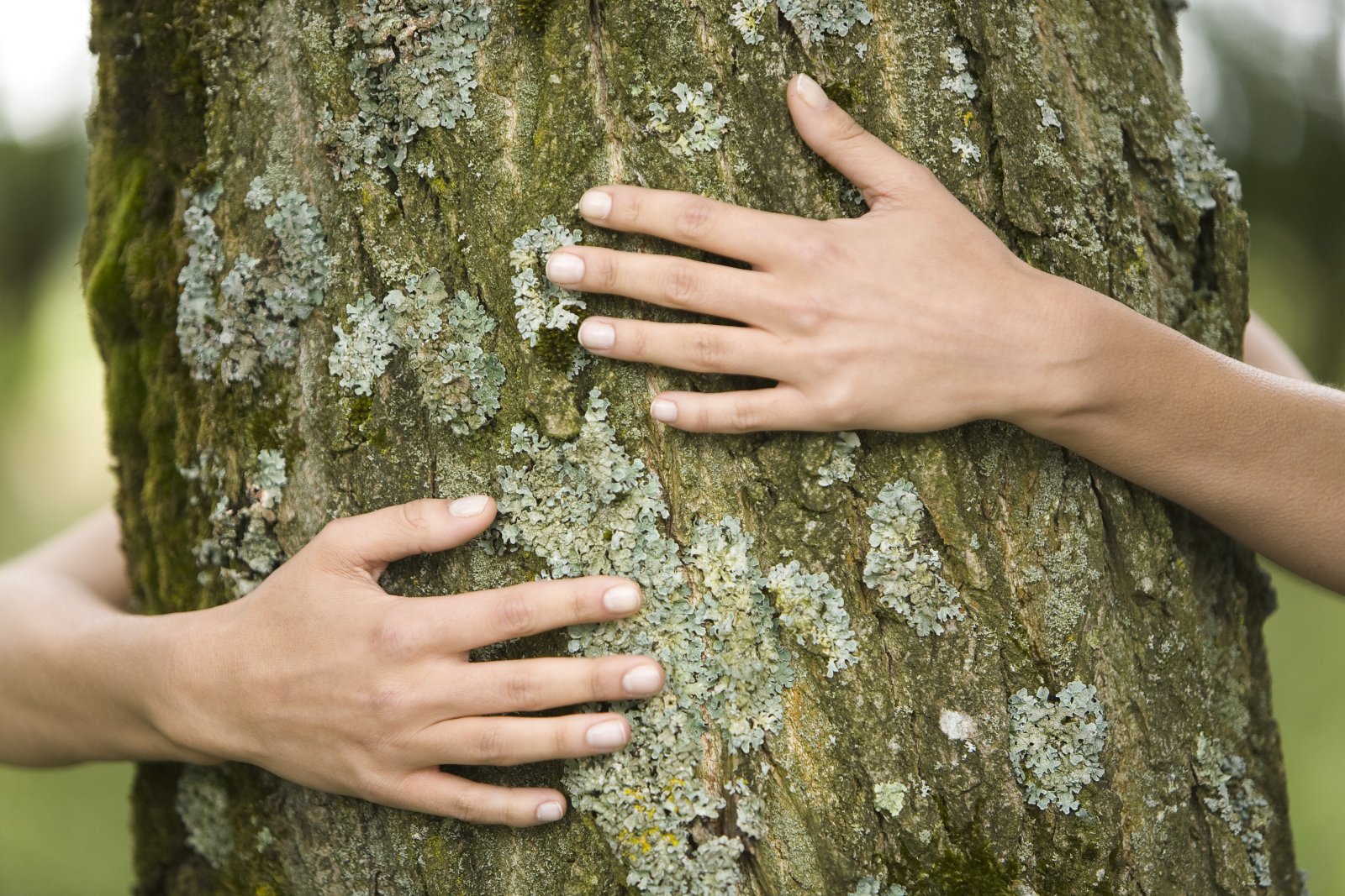 Klimaangst an der ETH. Bild: Keystone