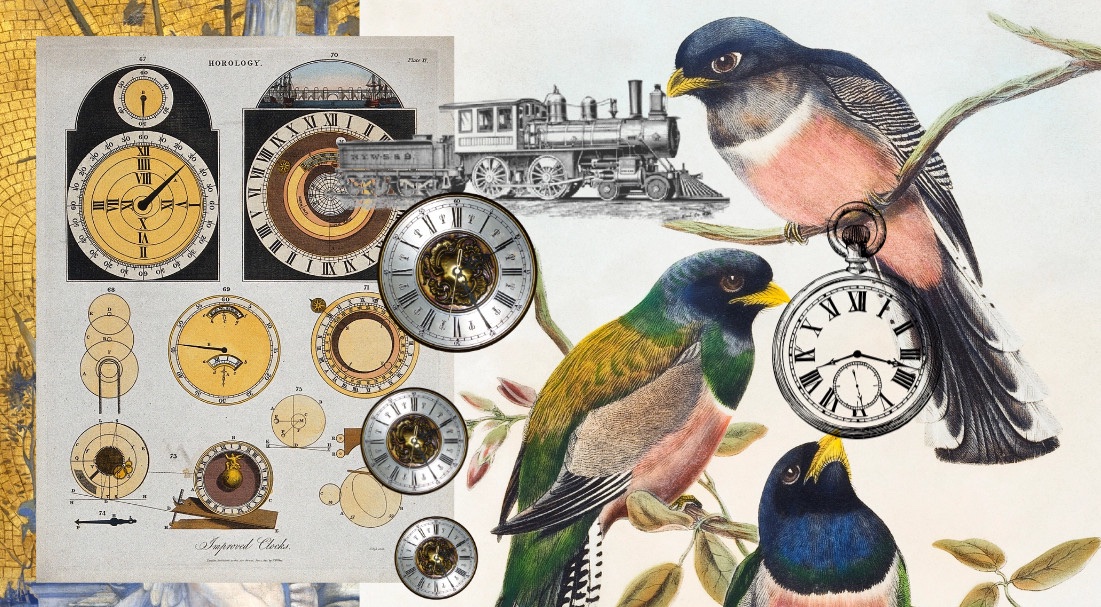 Bis eine Frage nach Zeit weitere Fragen nach Zeit und Zug aufwirft und hohe Wellen der Verwirrtheit schlägt / Collage: Dominique Feusi