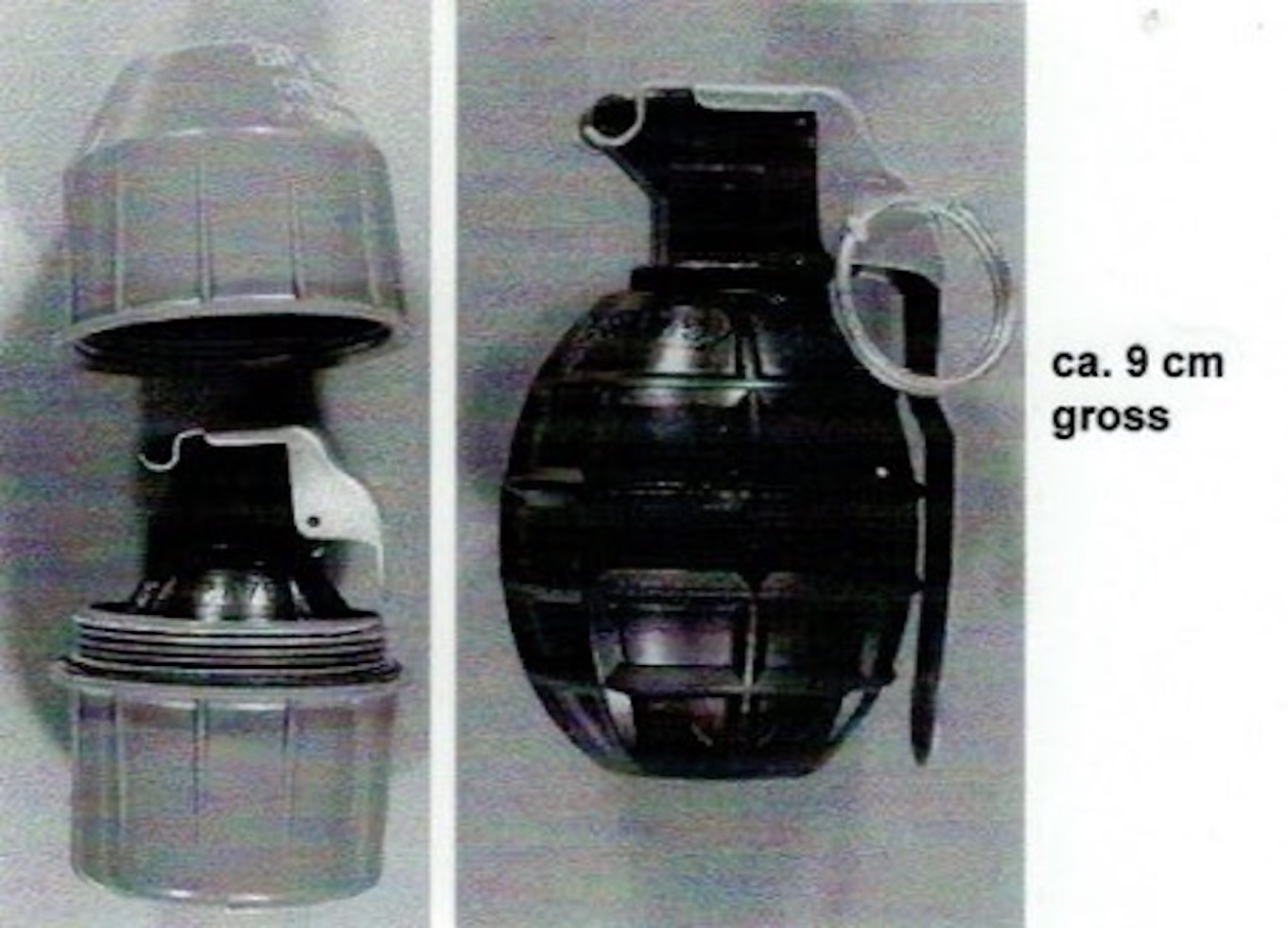 Eine solche Handgranate löste die Explosion aus. (Bilder: Kapo SG)