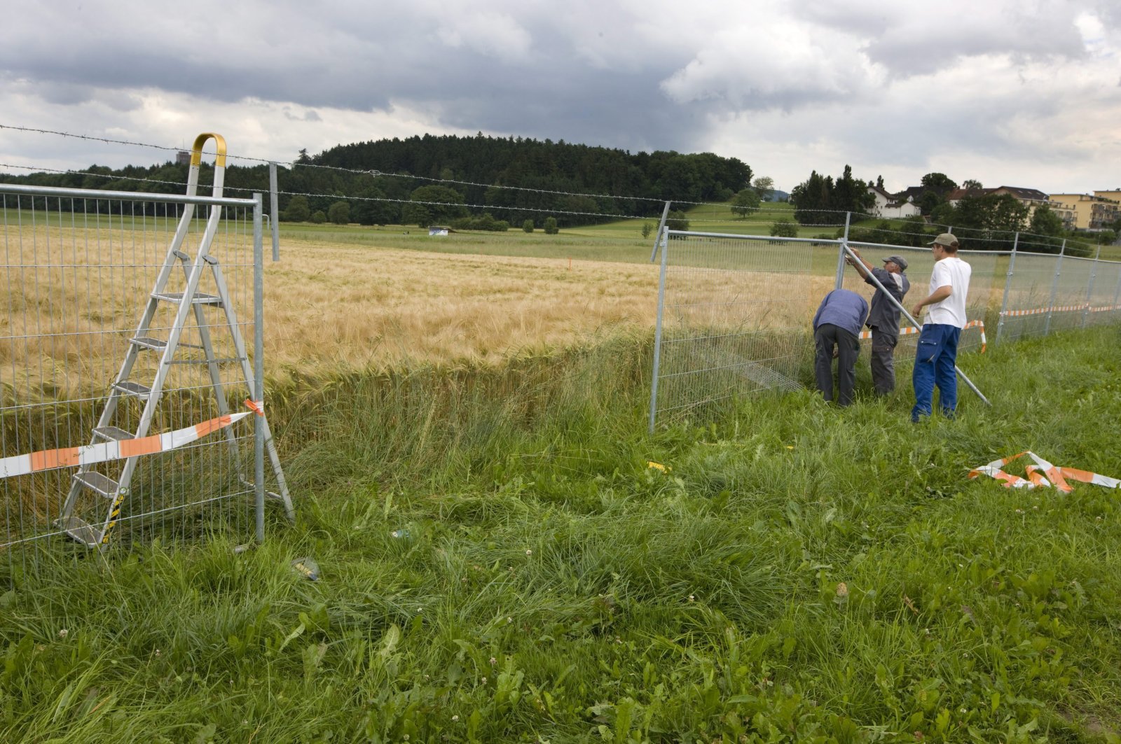 Wenig Freiheit für Genforscher in der Schweiz.  Bild: Keystone