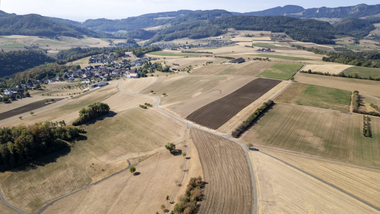 Der Schein trügt. Ein heisser Sommer zerstört unsere Ernährungsgrundlagen nicht. Bild: Keystone