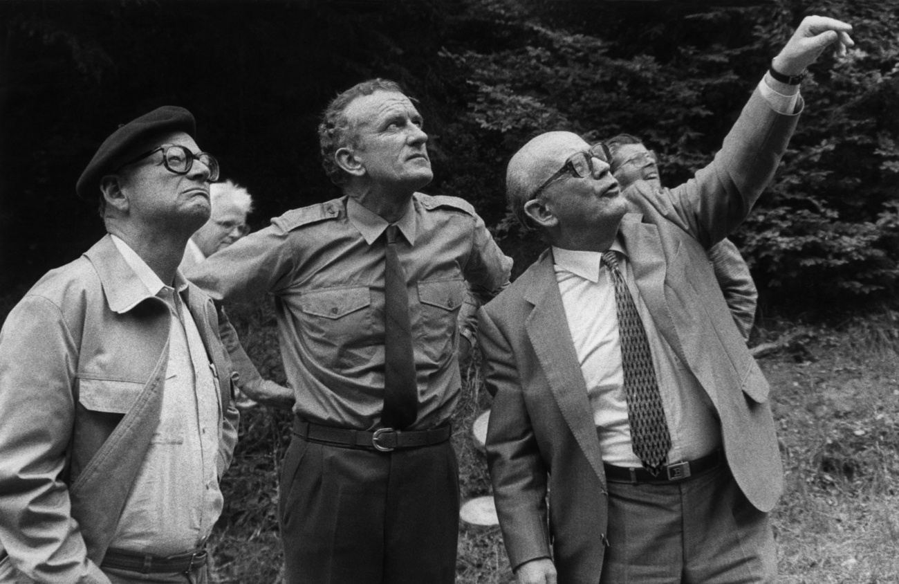 Die Schweiz vor dem ökologischen Untergang? Bundesrat Alphons Egli (CVP, rechts) lässt sich am 1. September 1983 die Waldschäden bei Zofingen zeigen. Bild: Keystone