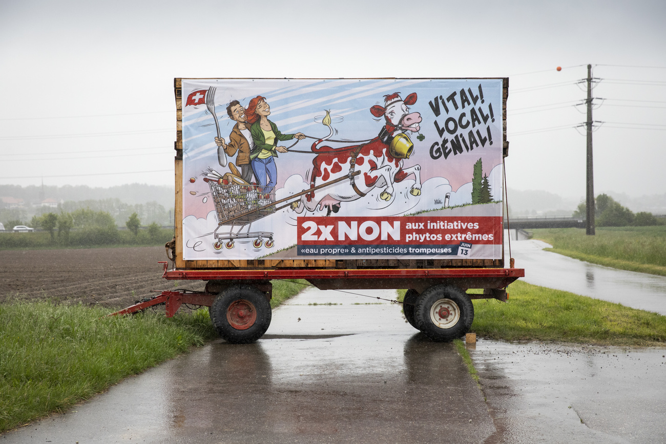 Die Schweizer wollen Ernährungssouveränität. Das zeigen die Resultate der beiden Agrarinitiativen, die an der Urne wuchtig abgelehnt wurden. (Bild: Keystone)