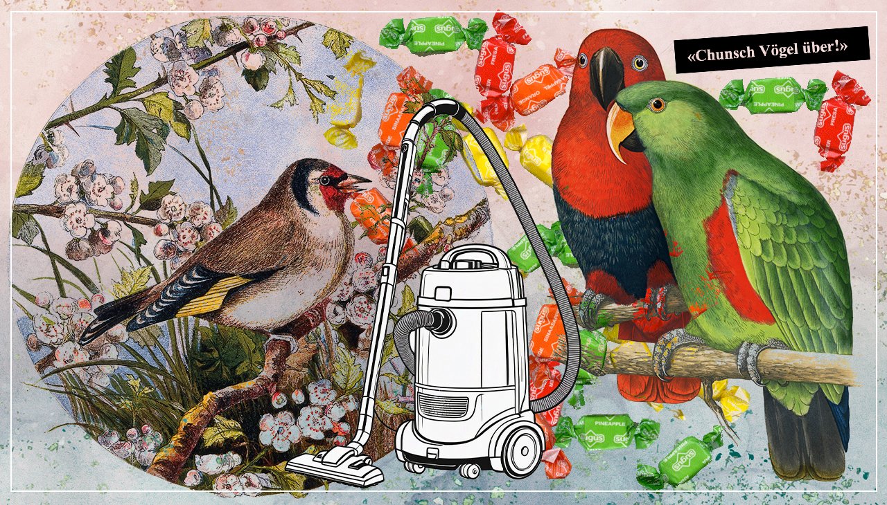 «Und weeeer suuged die ganz Vogelscheisse hinderem Sofa vüre???» Collage: Dominique Feusi