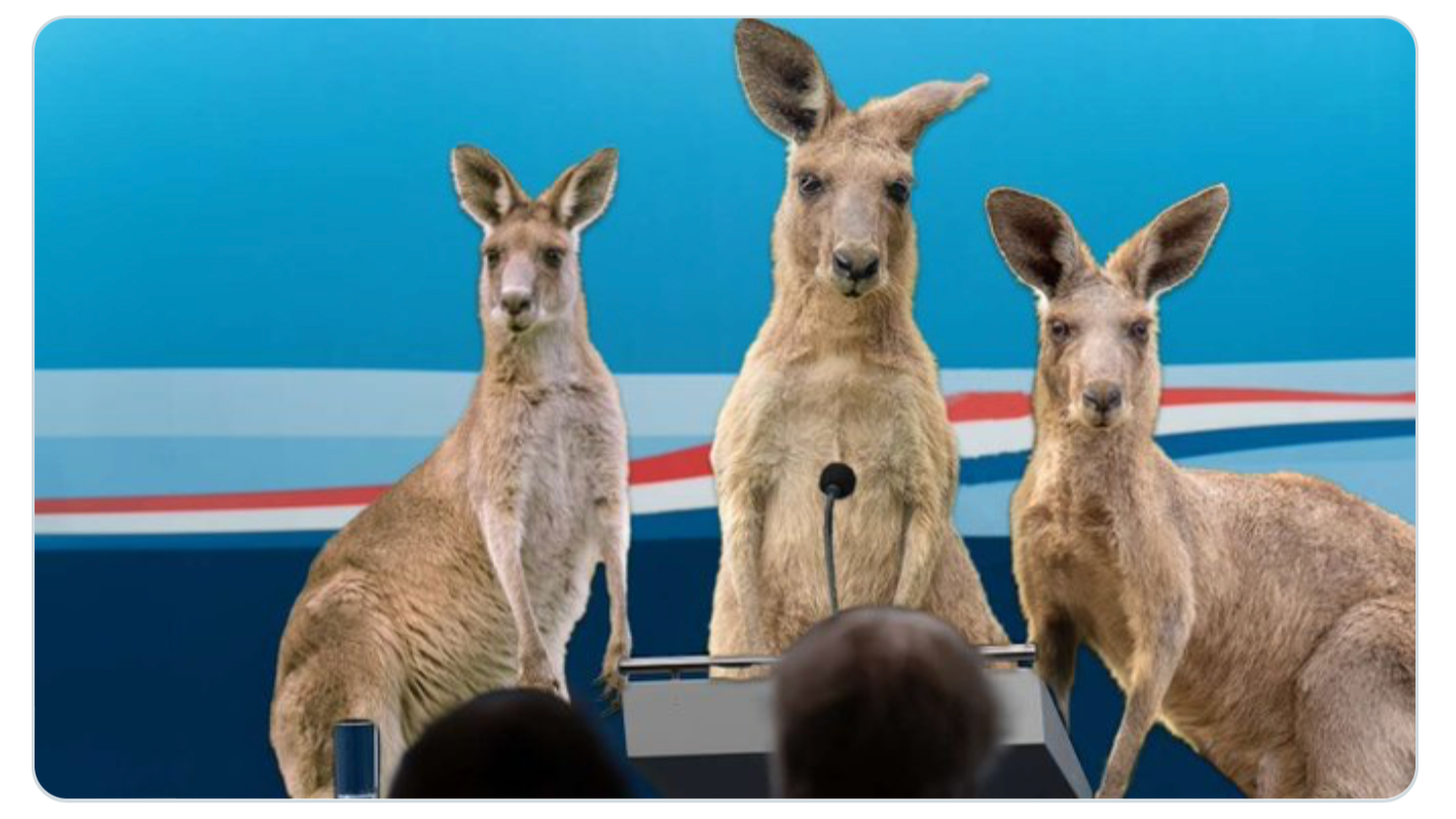 Die Kängurus beklagen sich (The Babylon Bee). Quelle: Screenshot X, The Babylon Bee