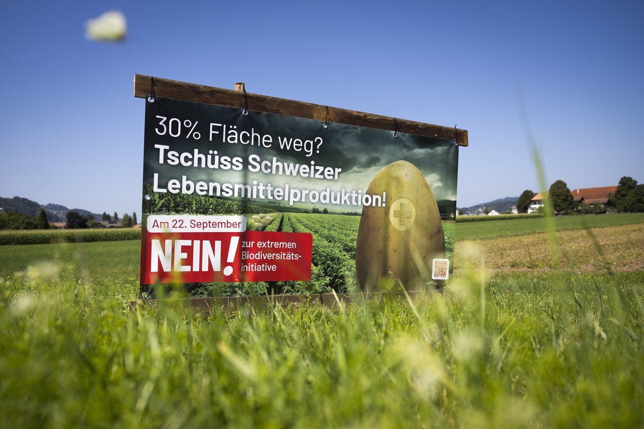 Mit der Biodiversitätsinitiative hätte nachträglich eine Rechtsgrundlage für eine «ökologische Infrastruktur» geschaffen werden sollen – doch der Versuch scheiterte. Bild. Keystone