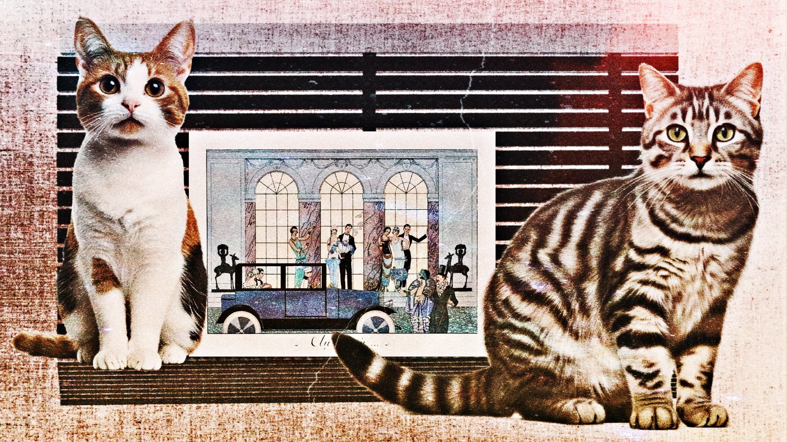 Denn jetzt, da dieser Teppich belegt ist, will sie ihn zurück. / Collage: Dominique Feusi x KI