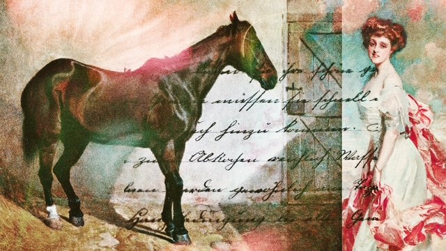 Das Pferd guckt, als denke es: «Setzt dich ja nicht auf mich drauf!» Collage: Dominique Feusi x KI