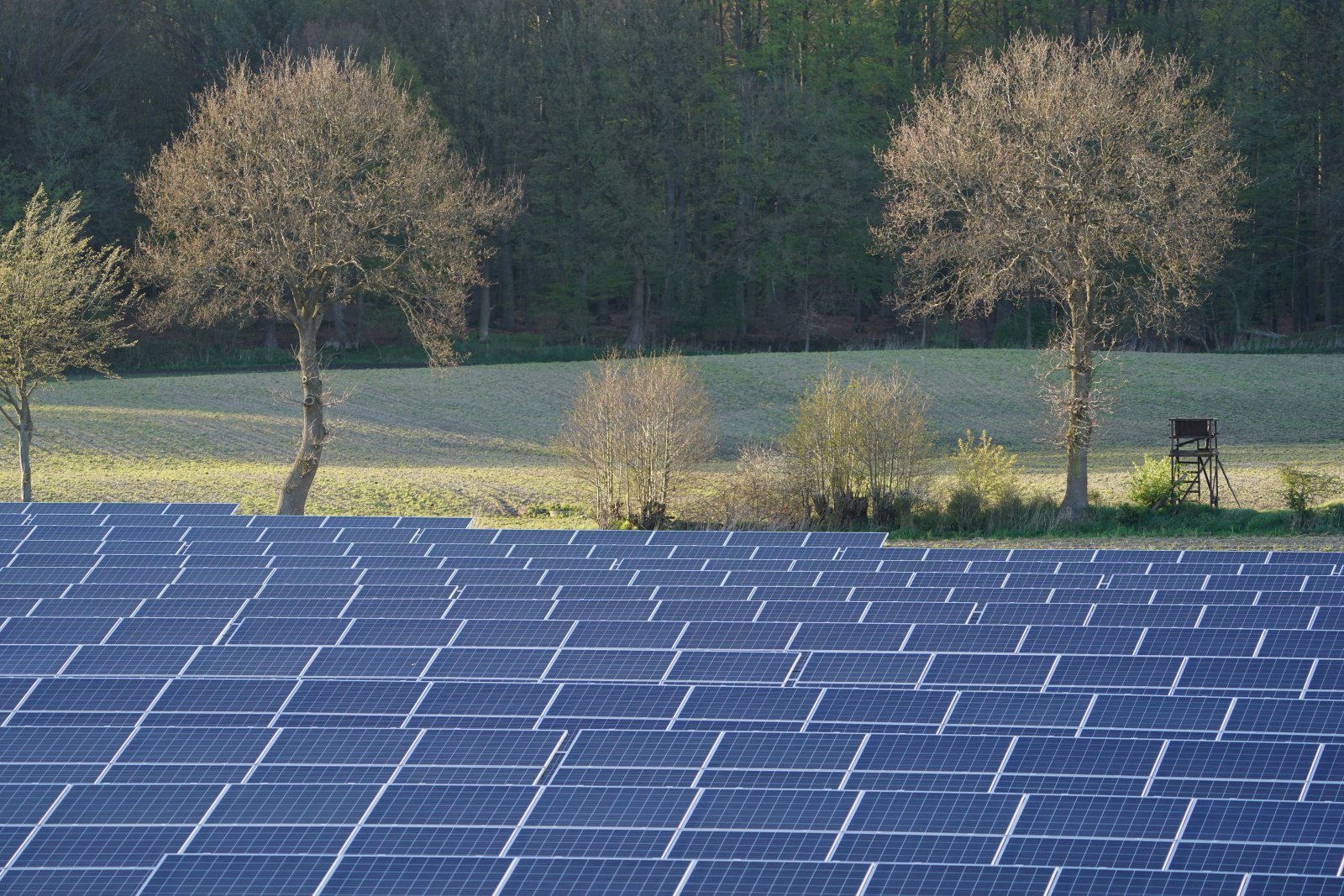 Zur Umsetzung der Energiewende wären riesige Freiflächen-Solaranlagen nötig (wie hier in Schleswig-Holstein). Bild: Keystone