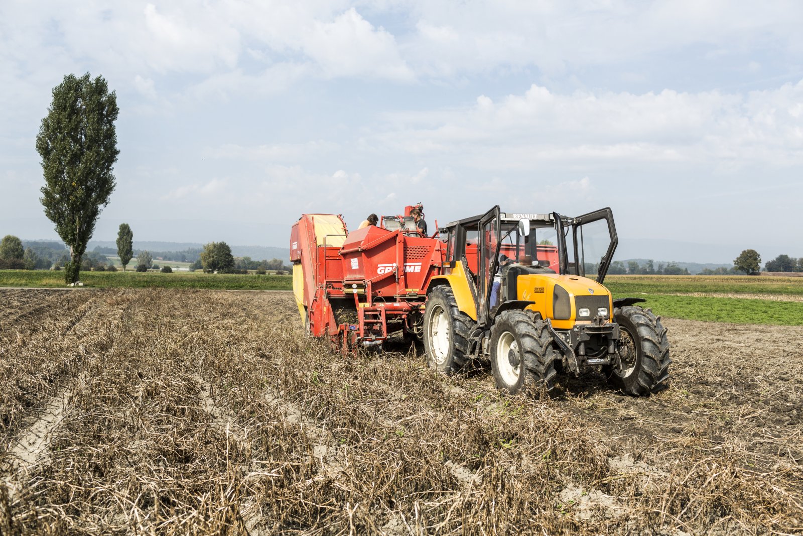 Intensive Landwirtschaft schont letztlich die Natur: Kartoffelernte in Kerzers (BE). Bild: Keystone