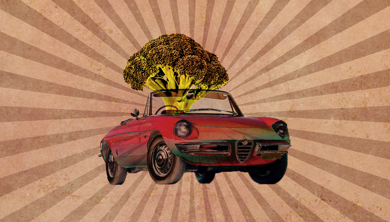 «Ich hatte als junge Frau keine Probleme, ich hatte einen Alfa Spider.» (Montage: Dominique Feusi)