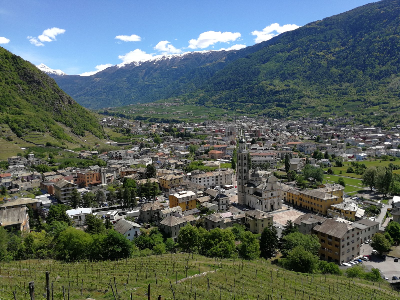 Neue Heimat Schweiz für die Veltliner?
