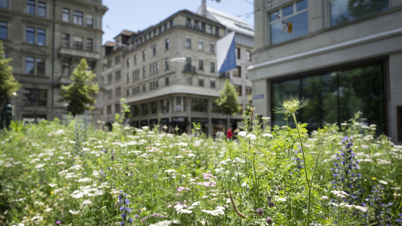Die Schweiz ist kein Museum, sondern der Ort, wo wir leben und wirtschaften. Bild: Keystone