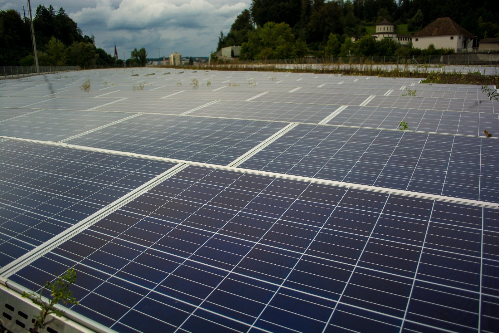 Quelle: Shutterstock