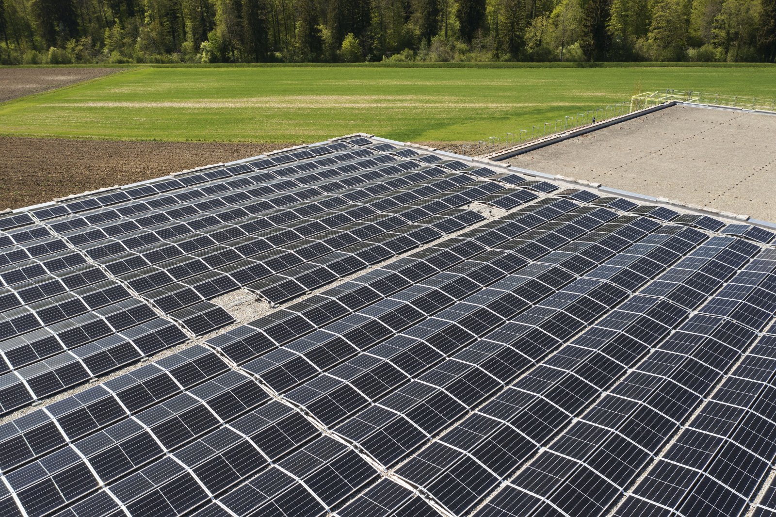 Verschlingt mehr Energie, als sie produziert: Photovoltaik-Anlage im Kanton Zürich. Bild: Keystone