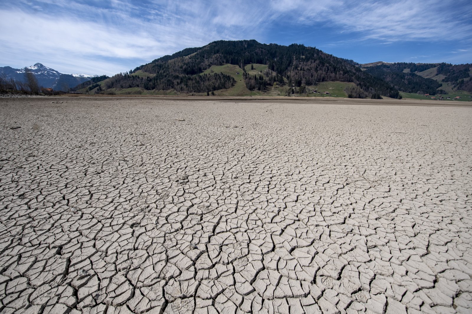 Kein Trend zu mehr Dürren: Ausgetrocknete Stellen des Sihlsees im April 2020. Bild: Keystone