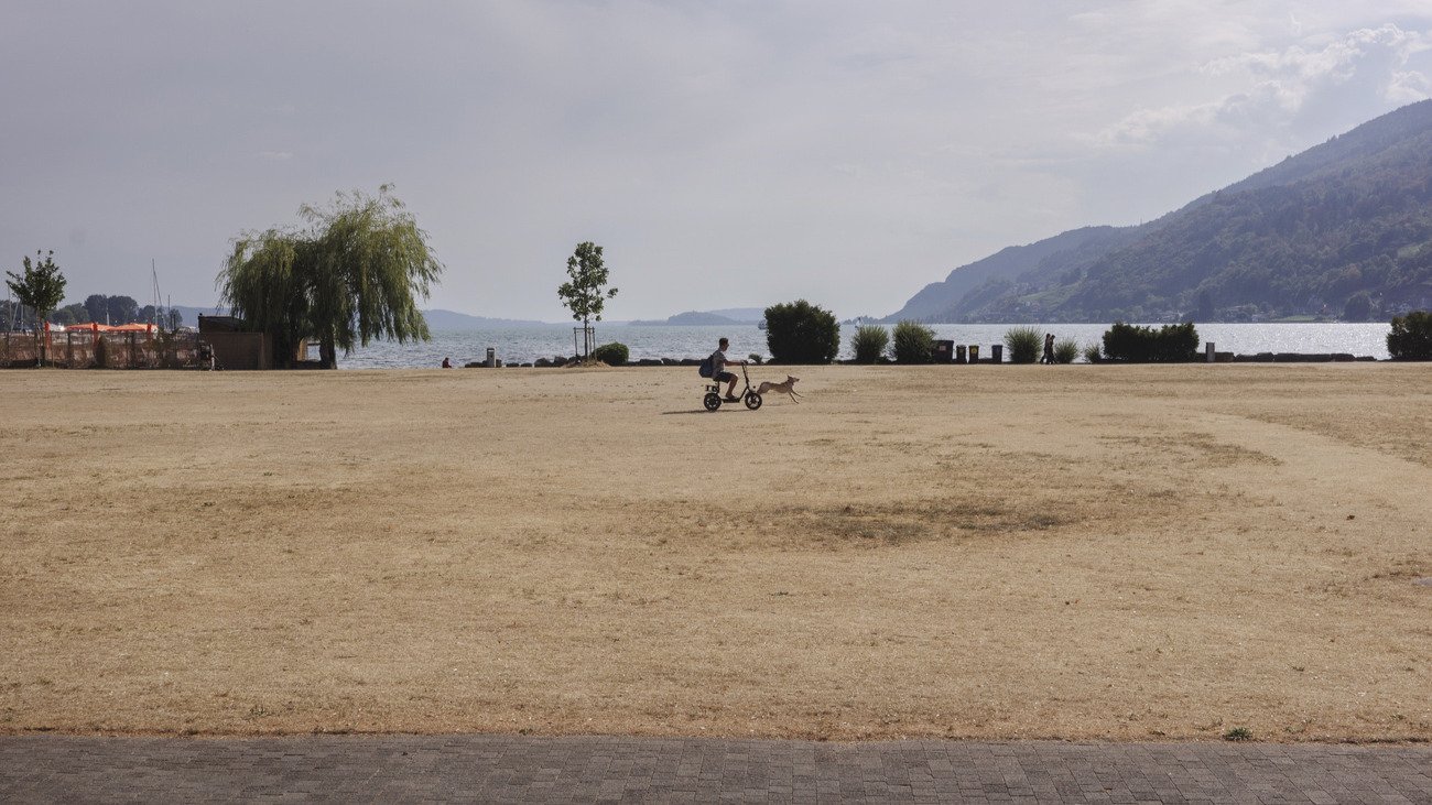 Wiesen in der Schweiz trocknen aus. Ist allein der Mensch schuld? Bild: Keystone