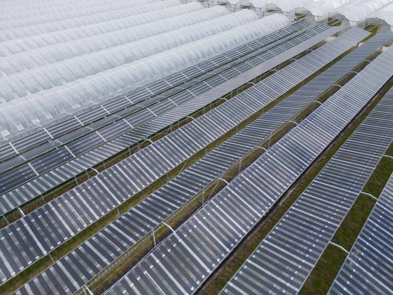 Solarpanels, soweit das Auge reicht – oder auch nicht. Bild: Keystone