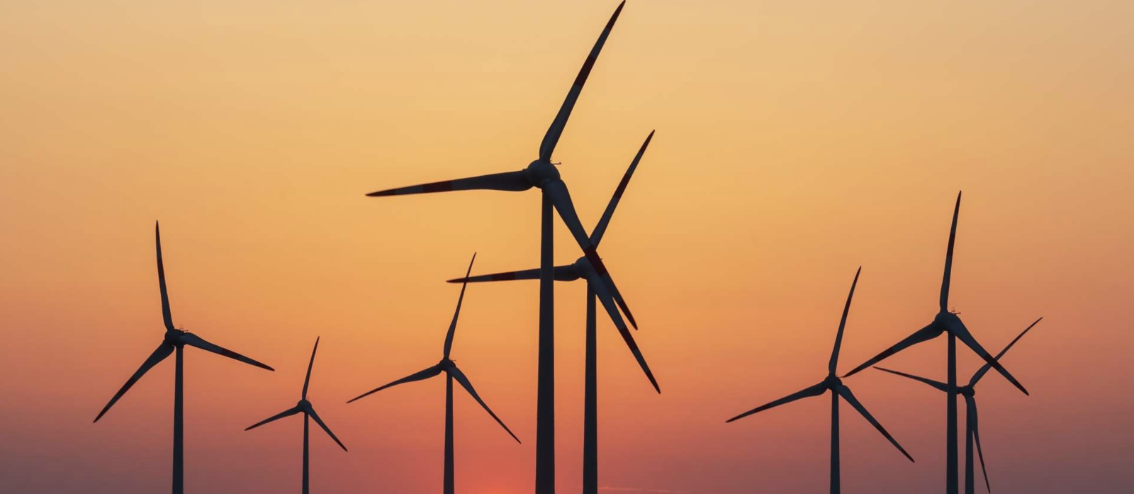 Bild: Shutterstock / Thorsten Schier