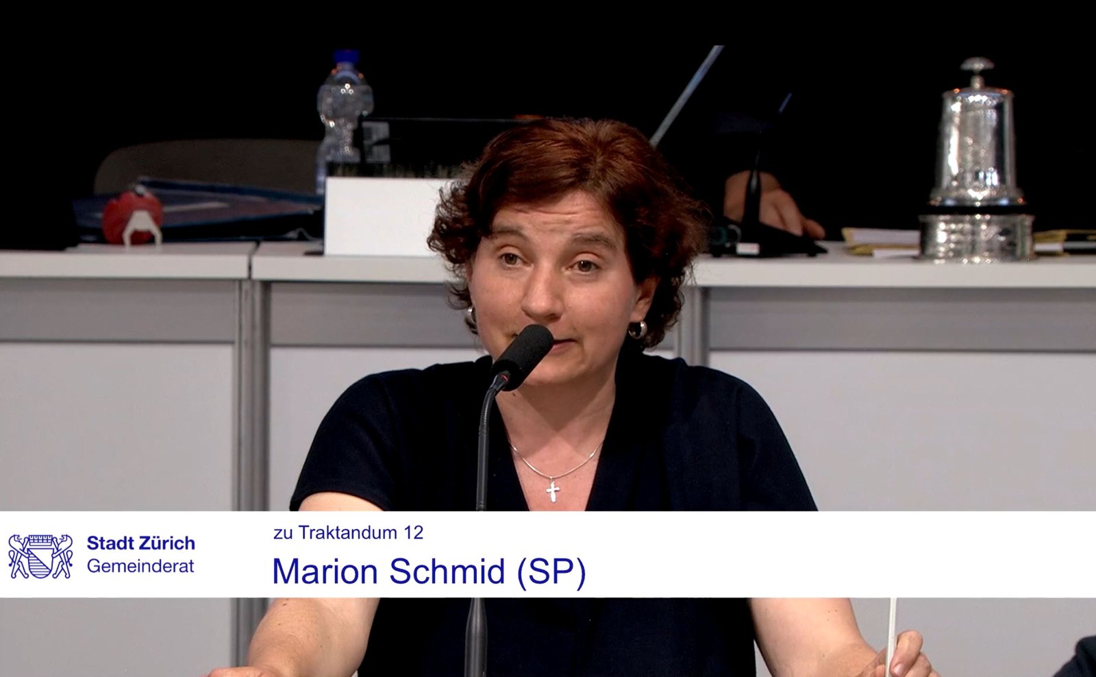 Frauen kommen zu wenig zu Wort, das der Verdacht der Gemeinderätin Marion Schmid (SP). Bild: Screenshot aus dem Livestream der Sitzung