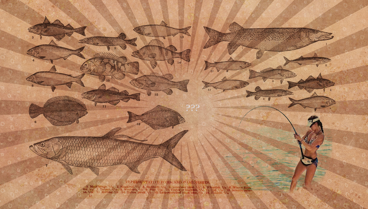 Den Fisch im Glauben lassen, es sei die eigene Entscheidung, dass er anbeissen will. (Montage: Dominique Feusi)