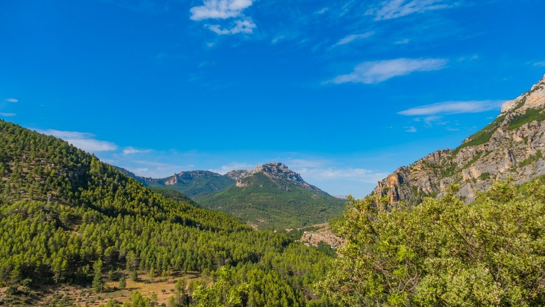 Waldfläche in 30 Jahren um über ein Drittel vergrössert: Bewaldete Gebiete in Spanien. Bild: Pixabay