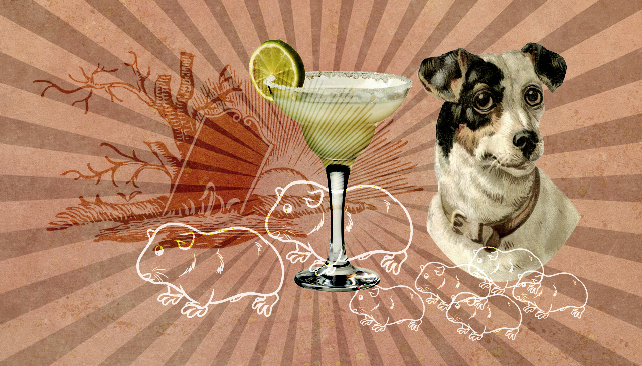 «Was macht ihr?» Wir verscharren einen Hund. (Montage: Dominique Feusi)