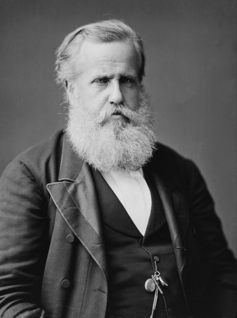 Dom Pedro II. war von 1831 bis 1889 Kaiser von Brasilien. Unter ihm war das Land vom Liberalismus geprägt 
 (Bild: Mathew B. Brady  / Wikipedia)
