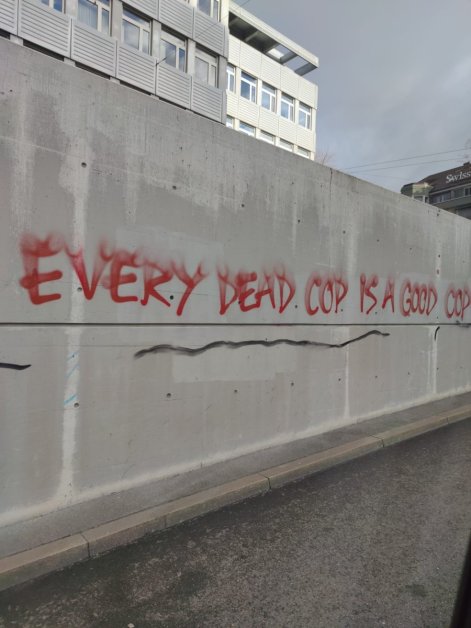 Nur ein kleiner Teil der Schäden: Schmierereien der Linksextremen (Bild: zVg)