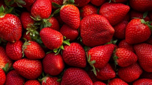 Erdbeeren haben mehr Nährstoffe, wenn der CO2-Gehalt der Luft höher ist. Bild: Shutterstock
