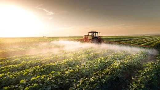 Synthetische Pestizide sollen verboten werden. Biologische Pestizide auch? Bild: Shutterstock