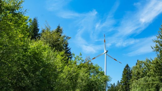 Jedes fünfte neue Windrad in Deutschland wird in den Wald gebaut. Bild: Shutterstock