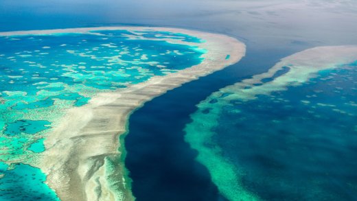 Great Barrier Reef - gefährdetes Naturparadies? Bild: Shutterstock