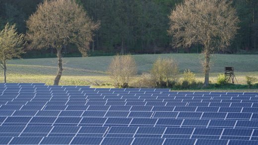 Zur Umsetzung der Energiewende wären riesige Freiflächen-Solaranlagen nötig (wie hier in Schleswig-Holstein). Bild: Keystone