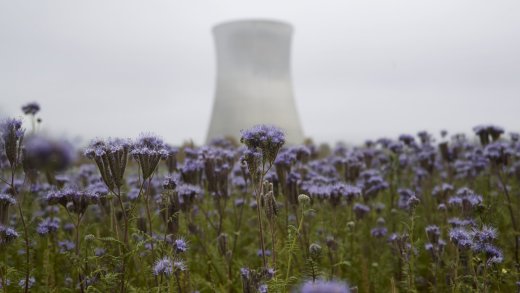 Die Kernkraftwerke bleiben vorläufig eine wichtige Stütze der Schweizer Stromversorgung. Bild: Keystone
