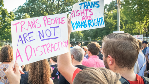 Wie sehr ist der Trend zu Transgender sozial geprägt? Demonstration für die Rechte von Transpersonen in den USA: Bild: CC