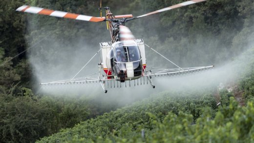 Immer weniger im Einsatz: Ein Helikopter versprüht Pflanzenschutzmittel. Bild: Keystone