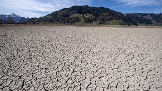 Kein Trend zu mehr Dürren: Ausgetrocknete Stellen des Sihlsees im April 2020. Bild: Keystone