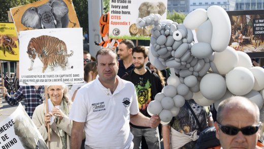 Weniger als tausend Arten sind bis jetzt mit Sicherheit ausgestorben: Demonstration gegen das Artensterben in Genf, 2016. Bild: Keystone