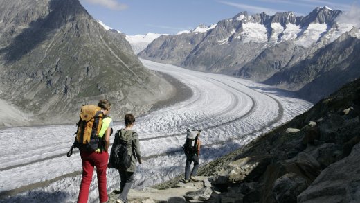 Einzigartiger Rückzug des Eises? Aletschgletscher im Wallis. Bild: Keystone